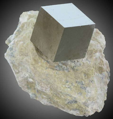 mm Pyrite Cube on Matrix - Navajun, Spain #30978